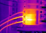 Thermal Imaging Picture